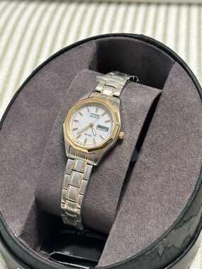 NWT Citizen eco-drive two tone watch